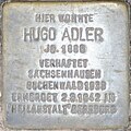 Hugo Adler