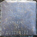 Stolperstein für einen Romm (Peterstraße 31)