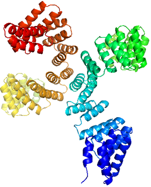 Slika 1: Struktura superheliksnog TPR domena O-vezane GlcNAc transferaze (generirane iz PyMOL-a).[25]