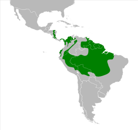 Distribución geográfica de la tangara luctuosa.