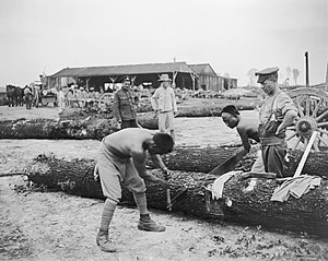 Kitajski delavski korpus med gradnjo železnice, 1917