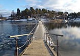 Vinterbron till Tranholmen