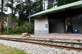 Image illustrative de l’article Gare du Camping Savaggio