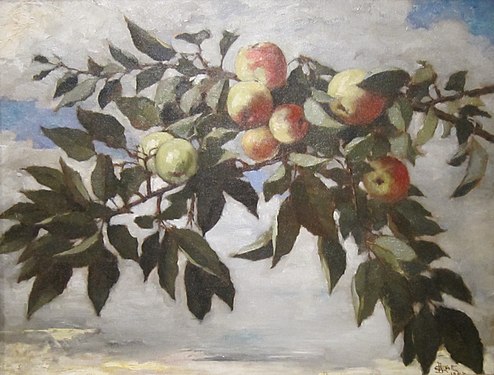 Větve jabloně, Cincinnati Art Museum