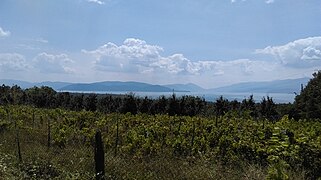 Fields of Štrbovo and Lake Prespa in background