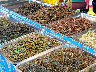 Insecte prăjite, Thailanda