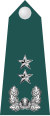 Junior general