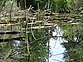 Naturreservat Petite Camargue Alasacienne bei Saint-Louis, Elsass