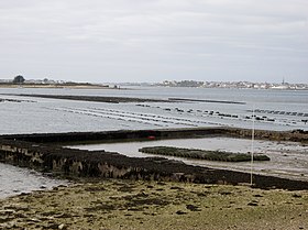 Petite mer de Gâvres : ancien parc ostréicole dans la partie ouest de l'île de Kerner.