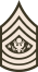 Army-USA-OR-09a (Army greens).svg