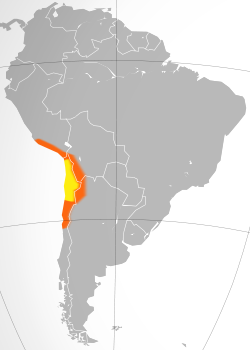 Ubicación del desierto en Sudamérica. En amarillo lo que tradicionalmente se considera Atacama y en naranja otras áreas desérticas colindantes como la cabecera del desierto de Atacama en el sur peruano, el Altiplano andino, la Puna de Atacama y el Norte Chico de Chile.