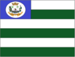 Vlag van Novo Brasil