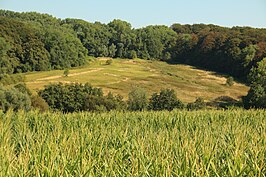 Beiaardbos, Fonteinbos en Ingelbos