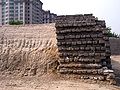 北京内城城墙东垣南段遗址