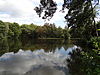 Summerhouse Lake in Bentley Priory LNR