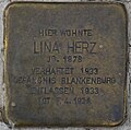 Blankenburg (Harz), Ruh 2, Stolperstein Lina Herz