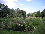 Project Grow Community Gardens
