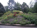 Perennial Flower Gardens