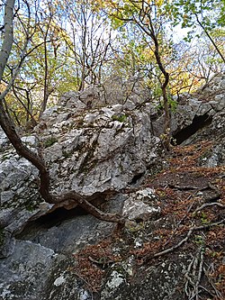 A Csévi-szirti Réteg-barlang bejárata