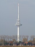 Miniatura per Torre Friedrich Clemens Gerke