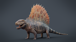 синапсида Dimetrodon grandis (перм)