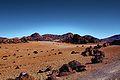 Alrededores de la falda del Teide