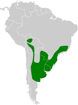 Distribución geográfica del coludo verdón.