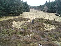 Wormy Hillock Henge