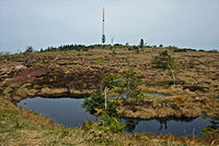 94. Platz: SchiDD mit Hochmoor auf der Hornisgrinde im Schwarzwald; Schutzgebiete: * FFH-Gebiet 7415341 Wilder See - Hornisgrinde * Vogelschutzgebiet 7415441 Nordschwarzwald * Naturpark Schwarzwald Mitte/Nord