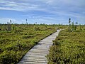 Miniatura para Parque nacional Kouchibouguac