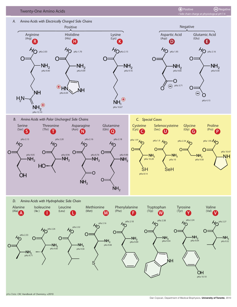 Table of Amino Acids.