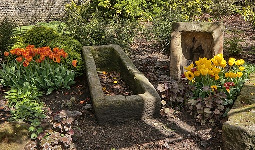 Музейные сады, Йорк - Panoramio.jpg