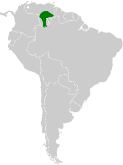 Distribución geográfica del hormiguero del Caura.