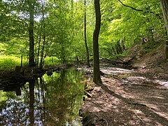 Naturschutzgebiet Gelpe-Saalbach