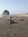 Tree stumps visible with Proposal Rock in background.