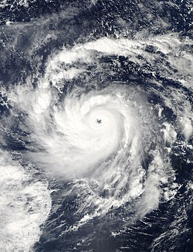 imagem ilustrativa de artigo Tufão Nida (2009)