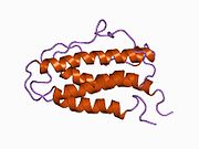 1buy​: Ljudski eritropoietin, NMR minimizovana prosečna struktura