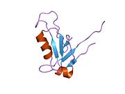 1zok: PDZ1 Domain Of Synapse Associated Protein 97