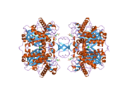 2ib9: Crystallographic and kinetic studies of human mitochondrial acetoacetyl-CoA thiolase (T2): the importance of potassium and chloride for its structure and function