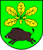 Coat of arms of Gmina Stary Dzików