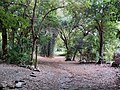 Miniatura para Parque Sierra San Javier