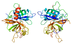 Протеин PLAT PDB 1a5h.png