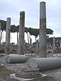 Colonne della Basilica Ulpia nel Foro di Traiano