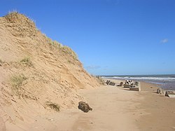 Sanddyner ved Balmedie