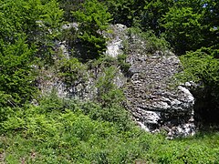 Wapienne skałki na wzgórzu