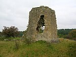 Terringzean Castle, Dumfries House Policies