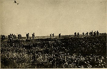 Піхота США в боях біля Кантіні
