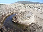Tide pool in WWII gun emplacement (VHL 88)
