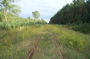 Ostrovas apriņķa Malkiņas Gurnas gminas ainava (sliedes uz bijušo Treblinkas nāves nometni)