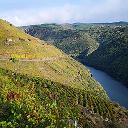 Terra de Caldelas – Veduta